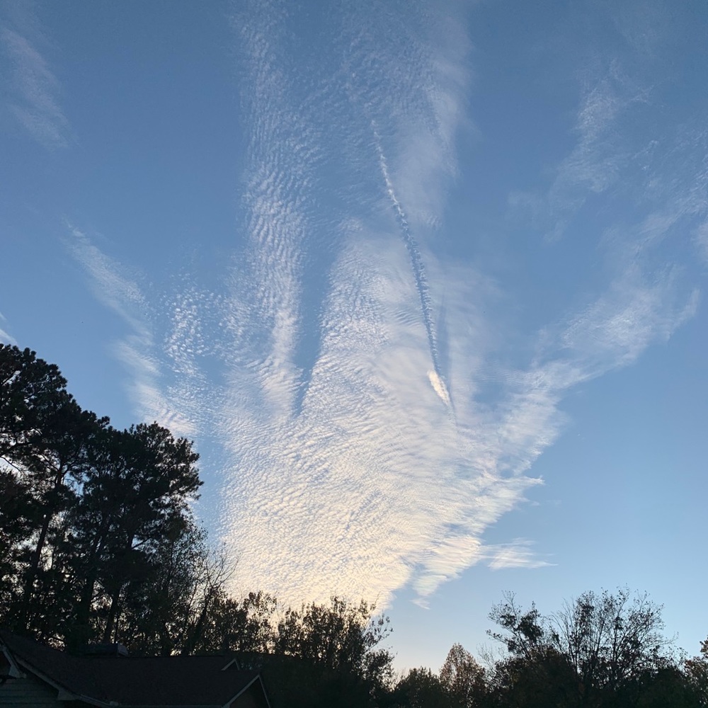 Meet your Posher, Stanislava